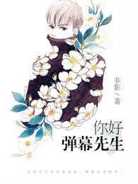 你好，弹幕先生