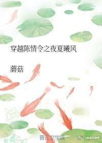 穿越陈情令之夜夏曦风
