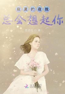 寂寞的夜我总会想起你