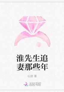 淮先生追妻那些年
