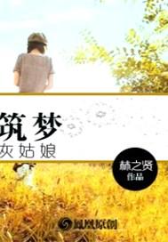 筑梦灰姑娘