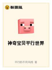 神奇宝贝平行之怪盗