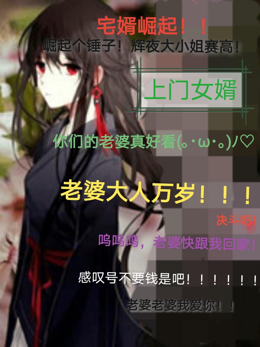 宅婿崛起