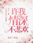 许我情深不悲欢