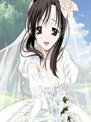 从日在盛夏开始