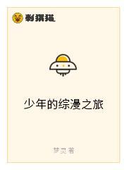 少年的综漫之旅