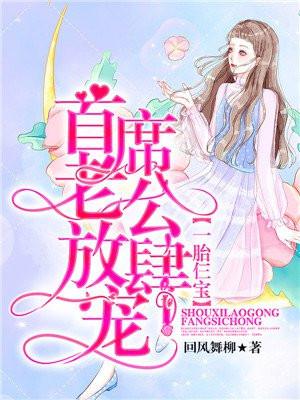 一胎仨宝：首席老公放肆宠