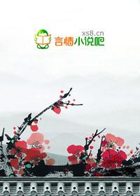 追夫记