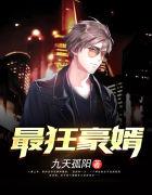 最狂豪婿