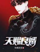天赐良婿