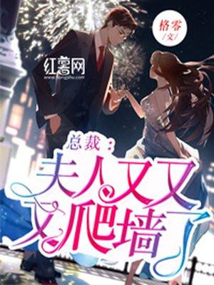 总裁：夫人又又又爬墙了