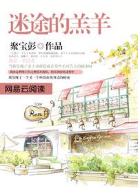迷途的羔羊：秘密忏悔