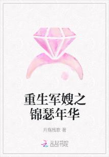 重生军嫂之锦瑟年华
