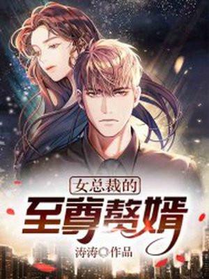 女总裁的至尊赘婿