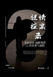 谜情探案录