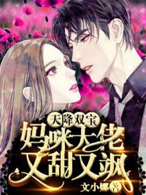天降双宝：妈咪大佬又甜又飒