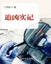 追凶实记