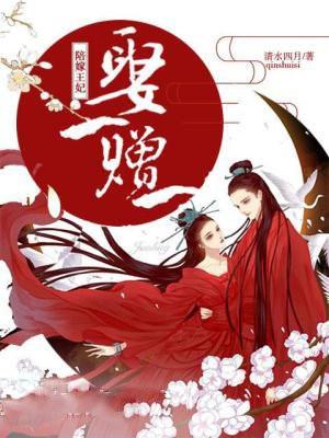 陪嫁王妃：娶一赠一
