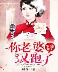 少帅免费阅读全文
