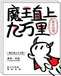 魔王直上九万里[无限]