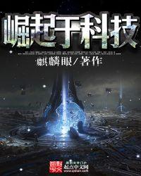 崛起于科技