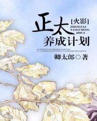 [火影]正太养成计划