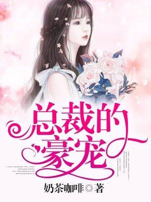 总裁的豪宠