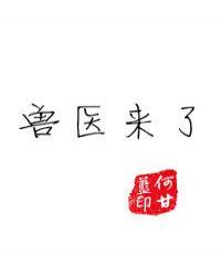 兽医来了
