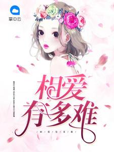 总裁的娇妻碰不得