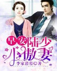 早安，陆少小傲妻