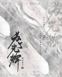 为了光辉abo
