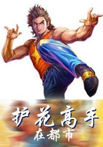护花高手在都市