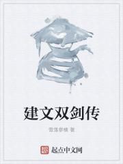 建文双剑传