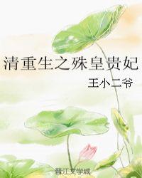 清重生之殊皇贵妃