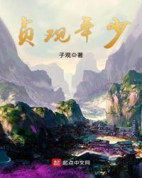 贞观年少