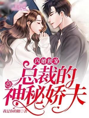 闪婚独宠：总裁的神秘娇夫