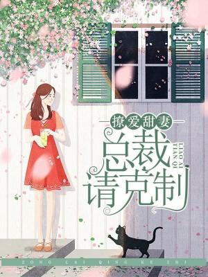 撩爱甜妻：总裁，请克制