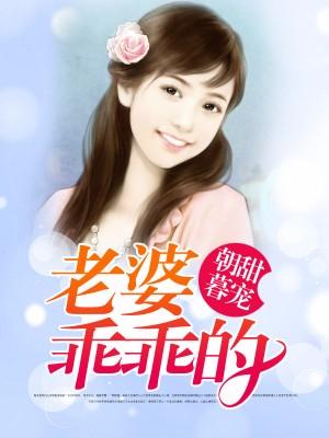 钻石男神娶进门