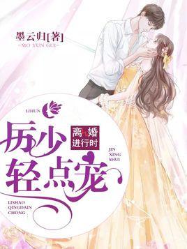 离婚进行时：厉少，轻点宠