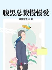 腹黑总裁慢慢爱