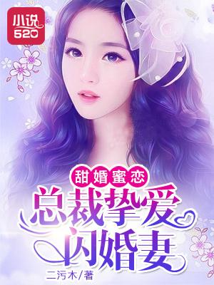 闪婚之总裁强娶妻