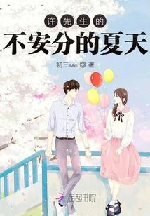 许先生的不安分的夏天