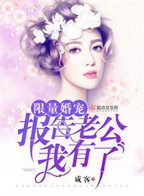 限量婚宠：报告老公，我有了第一册